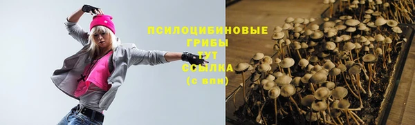 a pvp Горно-Алтайск
