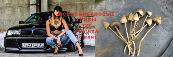 мескалин Горнозаводск